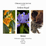 Ormonde Jayne Ambre Royal Parfum - Image 4