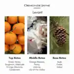 Ormonde Jayne London Levant - A luxury niche perfume available at Beautinow.