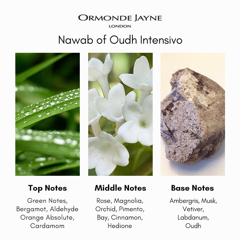 856.1 Ormonde Jayne Nawab of Oudh Intensivo - Image 4
