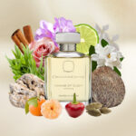 Ormonde Jayne Nawab of Oudh Intensivo - Image 5