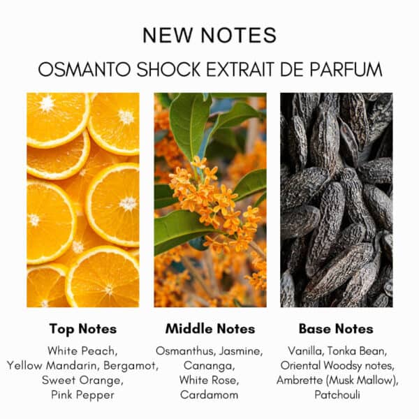Fresh citrus and woody scent notes in luxury niche perfume by Beautinow.