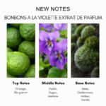 New Notes Bonbons A La Violette Extrait de Parfum - Image 4