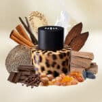 Warm spices, cocoa, and amber in luxury perfume with rich, sensual fragrance.