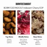 BORNTOSTANDOUT Indecent Cherry EDP - A luxurious fragrance available at Beautinow.