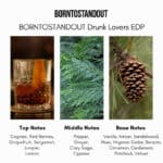 Rich amber cocktail with a citrus garnish, layered with greenery and pinecone in lush forest setting.