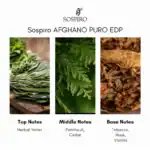 Sospiro Afghano Puro EDP - A premium niche perfume available at Beautinow.