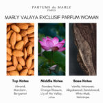 Marly Valaya Exclusive Perfume Woman - A luxurious fragrance available at Beautinow.