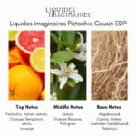 Liquidides Imaginaires Pistachio Cousin EDP - A premium fragrance available at Beautinow.