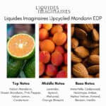 Liquides Imaginaires Upcycled Mandarin Eau de Parfum.