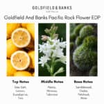 Goldfield And Banks Pacific Rock Flower EDP - A premium fragrance available at Beautinow.