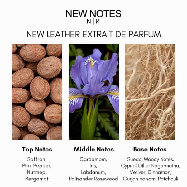 Close-up of natural ingredients for luxury perfume, including nuts, flower, and roots.