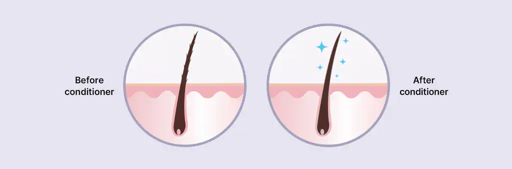 What Does a Conditioner Actually Do?