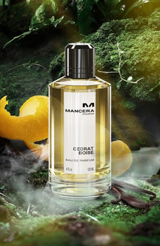 Cedrat Boise Eau de Parfum - Mancera Perfumes